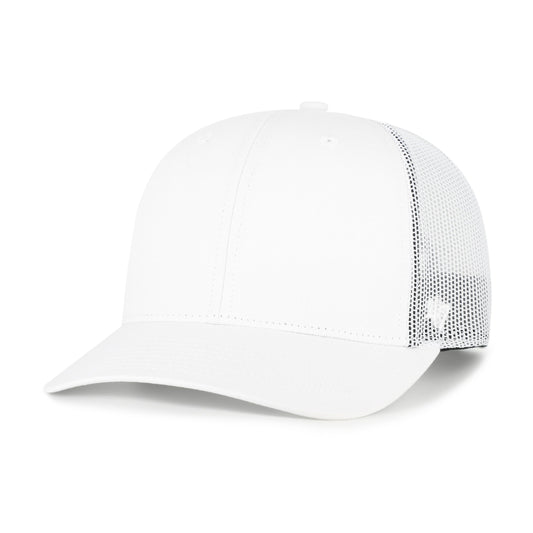 '47 BASICS TRUCKER